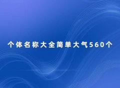 个体名称大全简单大气560个