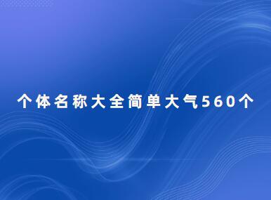 个体名称大全简单大气560个